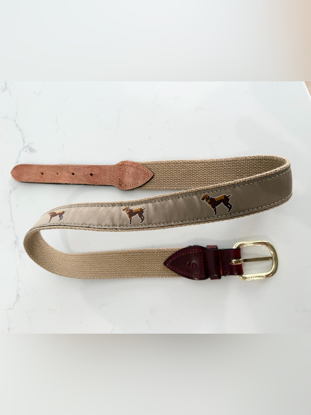 Boykin Spaniel Belt